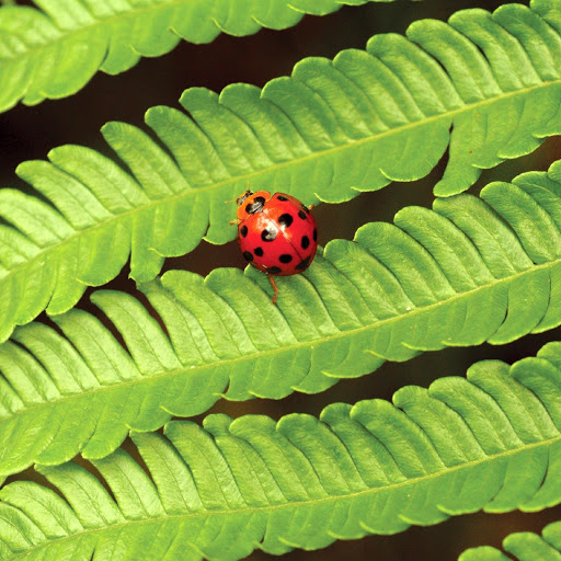 Hd-180344-ascw180344