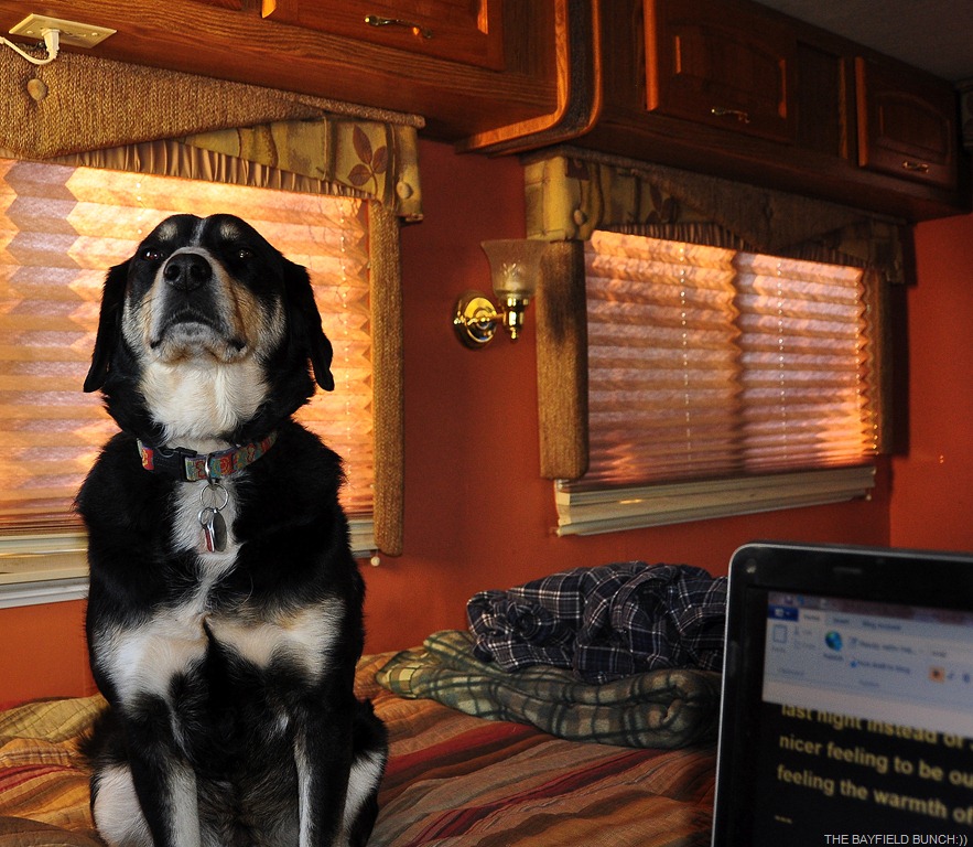 [DSC_0005%255B6%255D.jpg]