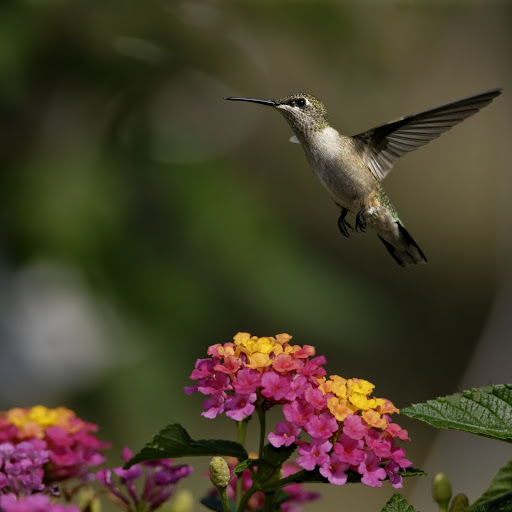 Hd-162597-ascw162597