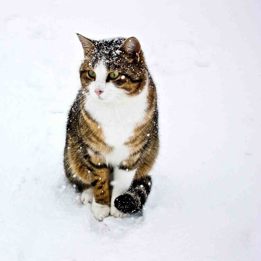 Hd-179984-ascw179984