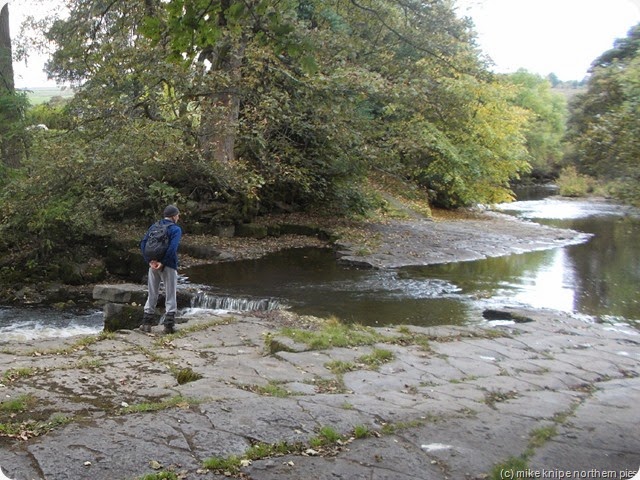 ford on the wear