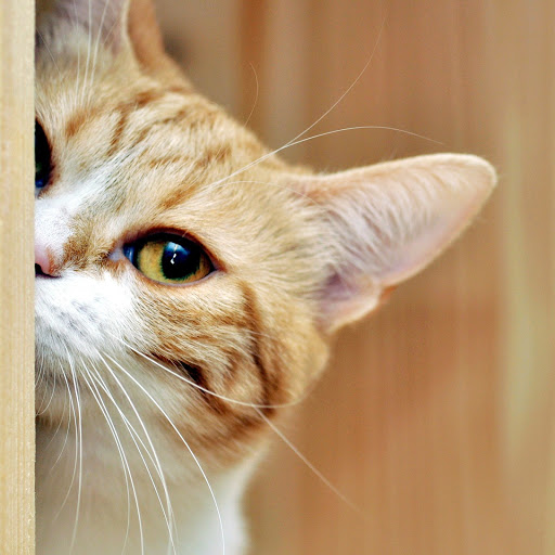 Hd-145642-ascw145642