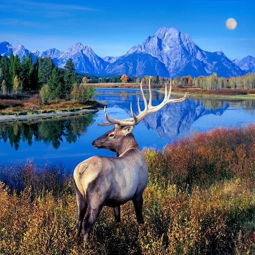 Hd-144233-ascw144233