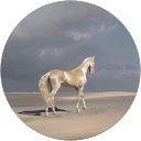 Image Google de Mezahem Chourouk