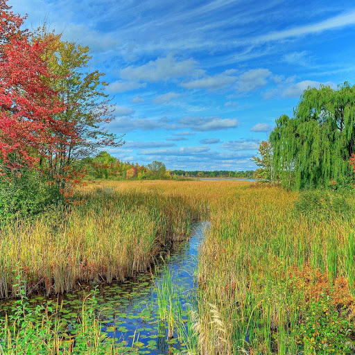 Hd-142786-ascw142786