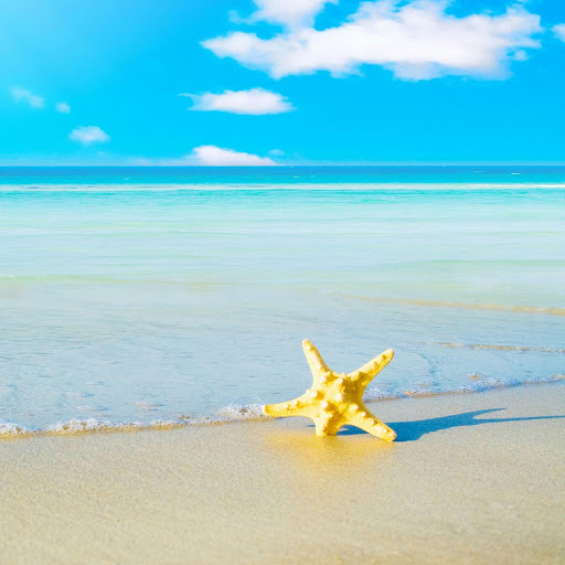 Hd-172190-ascw172190