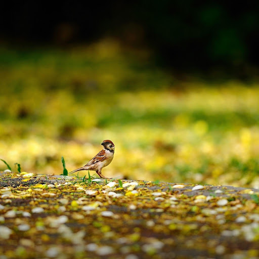 Hd-159498-ascw159498