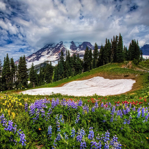 Hd-142775-ascw142775