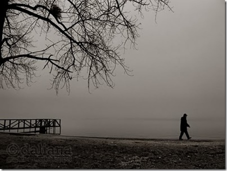 fog - photographis blog