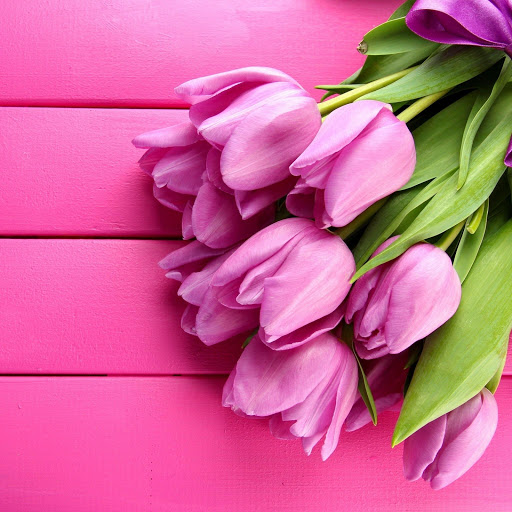 Hd-183862-ascw183862