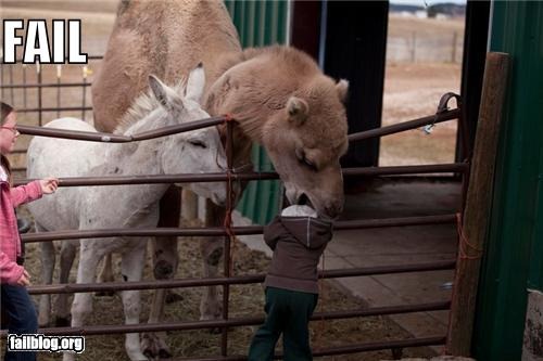 [fail%2520capitan%2520palomo%2520%25284%2529%255B2%255D.jpg]