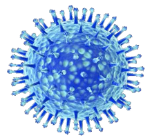 Electron micrograph of the bird flu virus