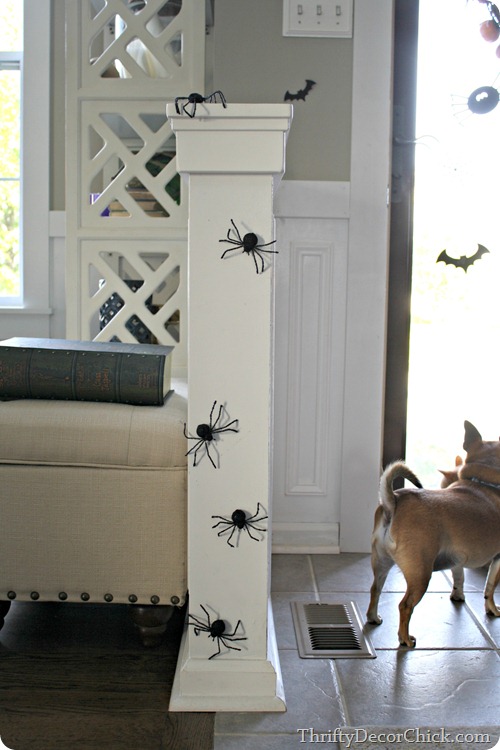 spiders Halloween decor