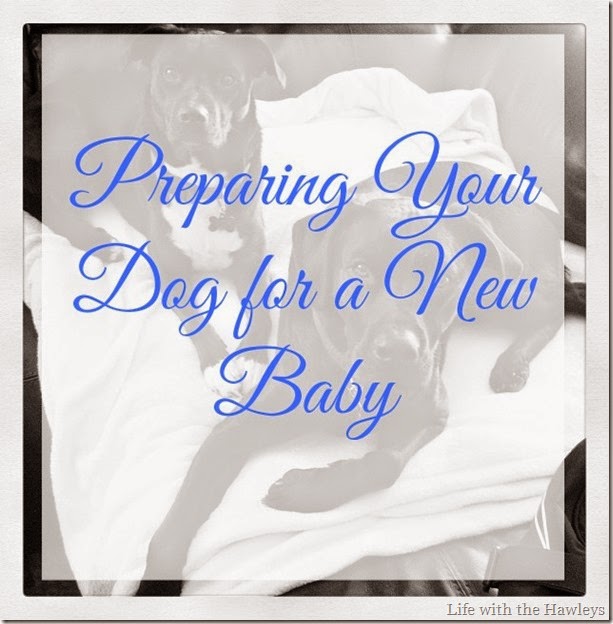 Preparing Your Dog for a New Baby Preparing Your Dog for a New Baby