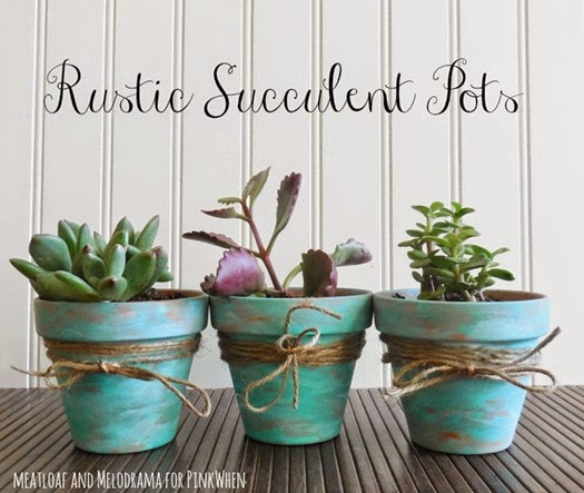 Rustic-Succulent-Pots