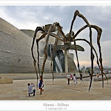 Mamá - Museo Guggenheim