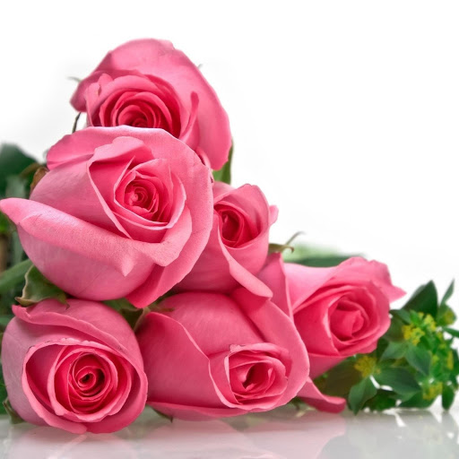 Hd-185767-ascw185767