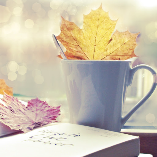 Hd-160241-ascw160241