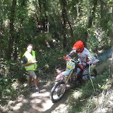 Pogli - By Alessandro Bottani