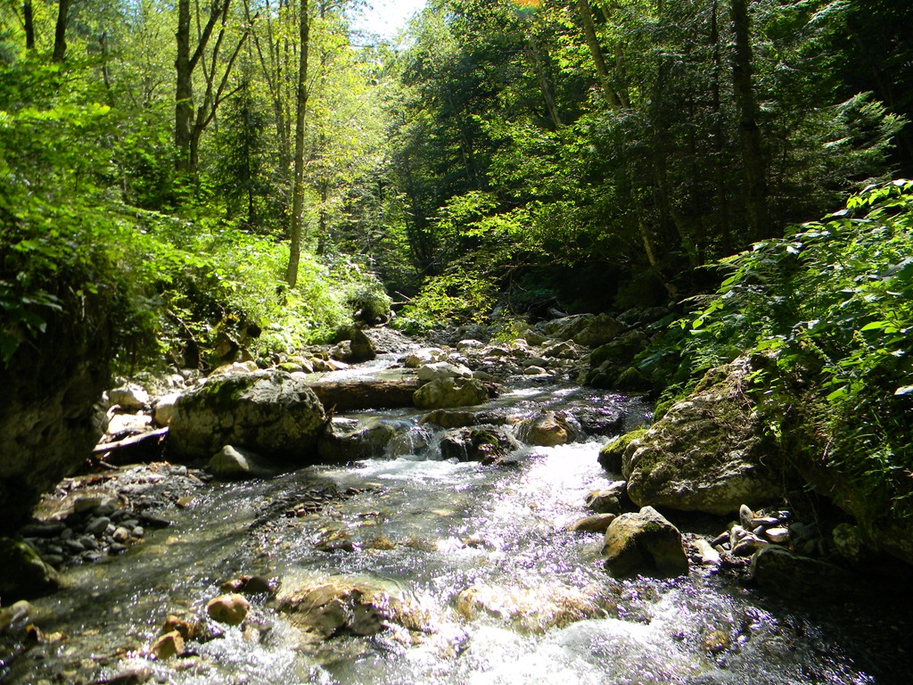 [DSCN51043.jpg]