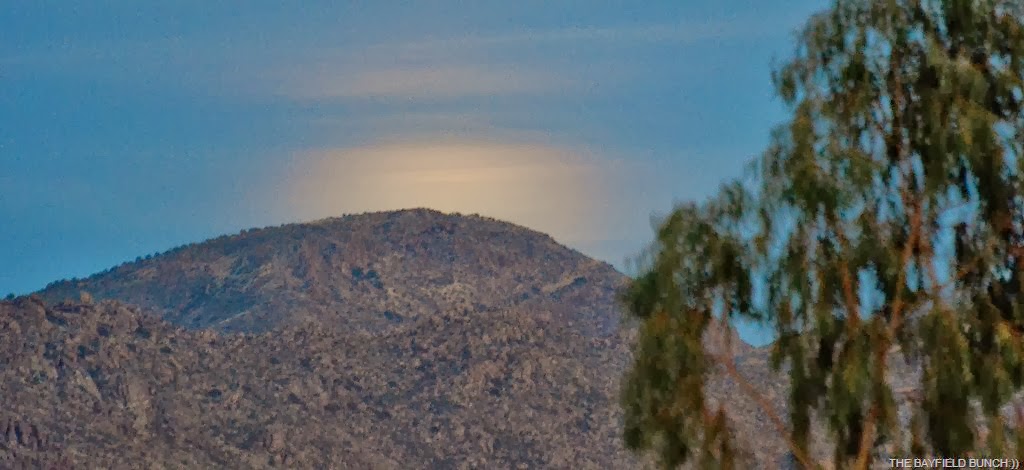 [DSC_0009%255B3%255D.jpg]