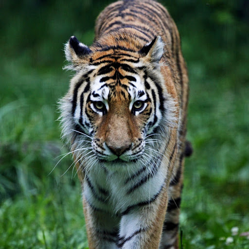 Hd-143773-ascw143773