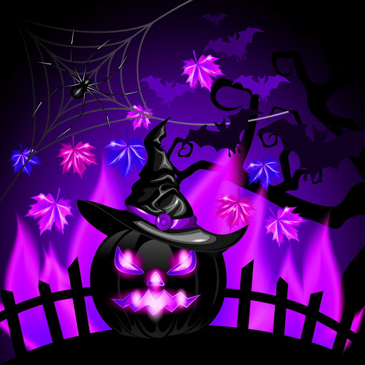 Hd-165010-ascw165010