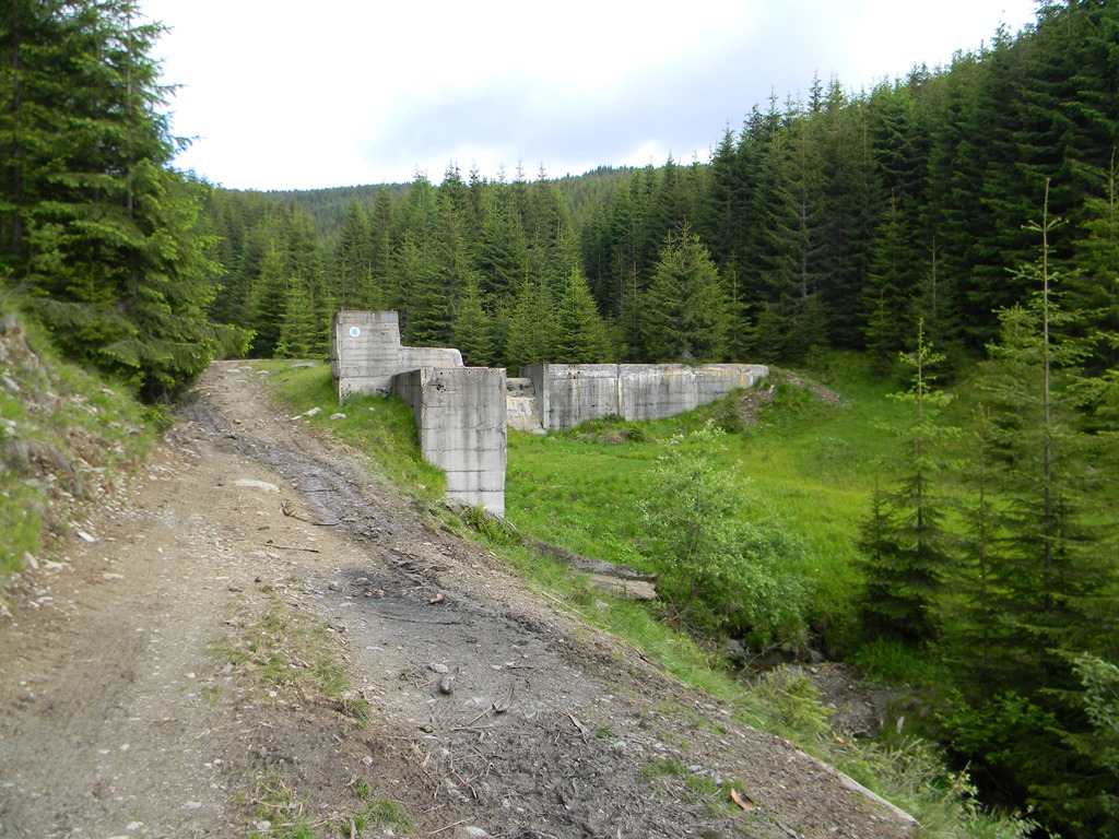 [DSCN16203.jpg]