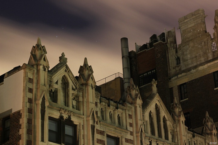 IMG_7495 IMG_7495