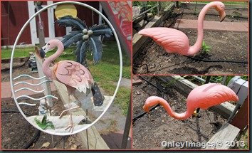 flamingo collage