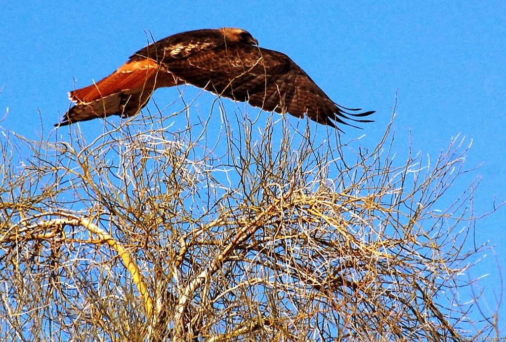 [DSC_5679%255B4%255D.jpg]