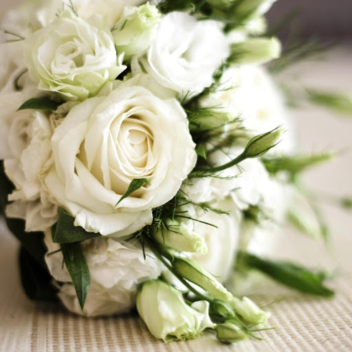 Hd-171055-ascw171055