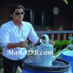 Siddarth-1.gif