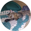 Rebecca Q profile picture