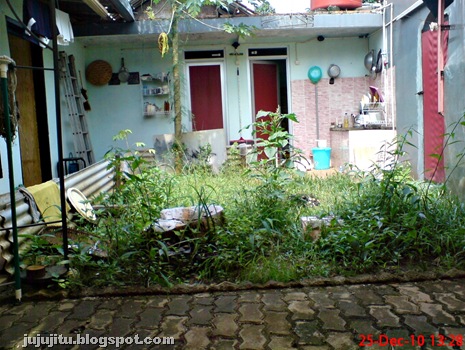 halaman belakang rumah di Jonggol_Jawa Barat