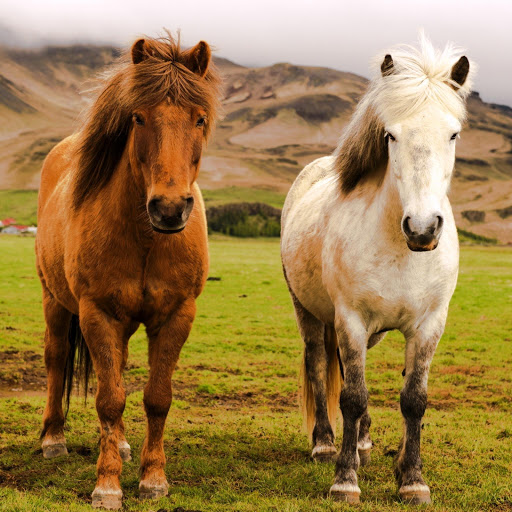 Hd-147464-ascw147464