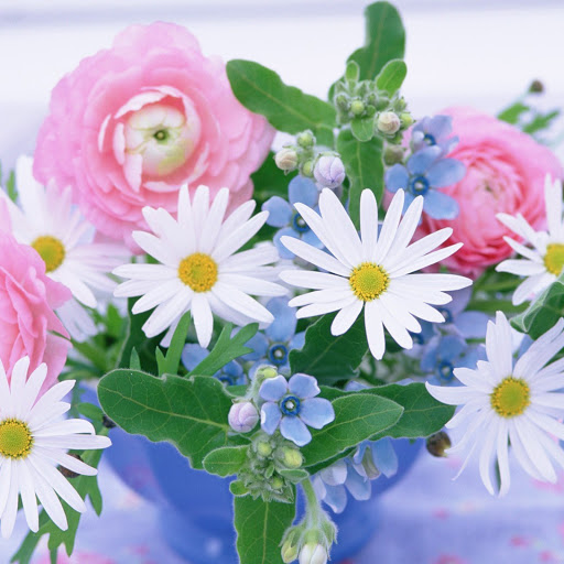 Hd-145553-ascw145553