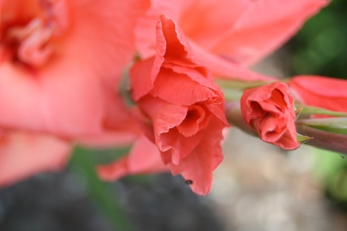 20100809 (1 (Small))