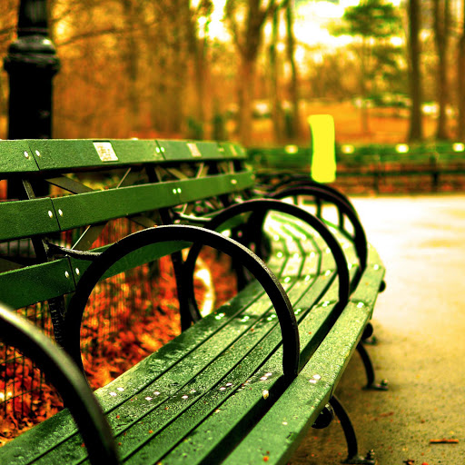 Hd-165816-ascw165816