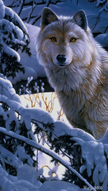 lobo.gif