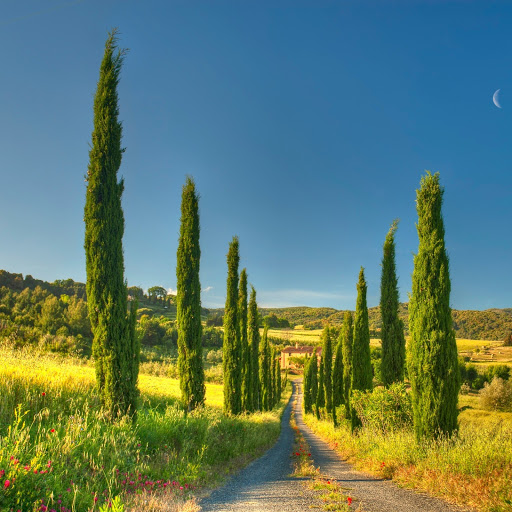 Hd-154127-ascw154127