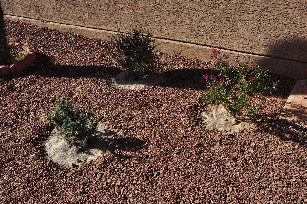 [DSC_0005-007%255B3%255D.jpg]