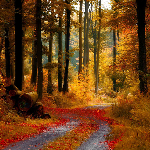 Hd-131548-ascw131548