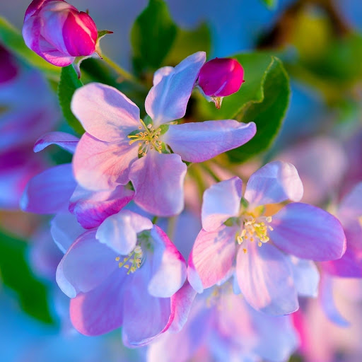 Hd-190858-ascw190858