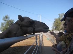 IMG_8688 IMG_8688