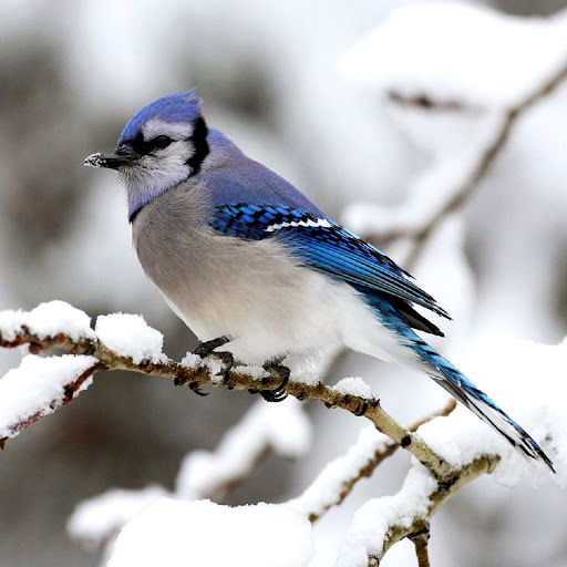 Hd-162164-ascw162164