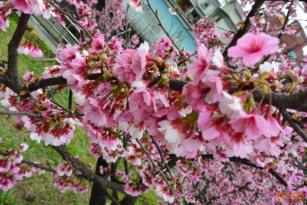 [0202%2520038%2520-%2520%2520g%25C2%259D%25C2%25AA%25C3%259E%25C3%25BBeS%255B4%255D.jpg]