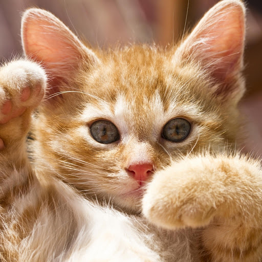 Hd-166176-ascw166176