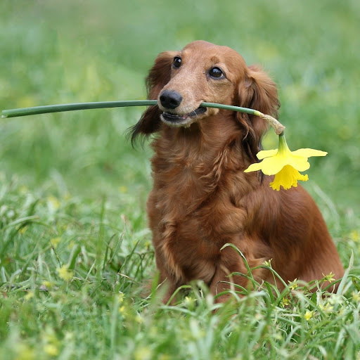 Hd-141156-ascw141156