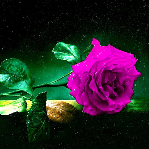 Hd-177297-ascw177297